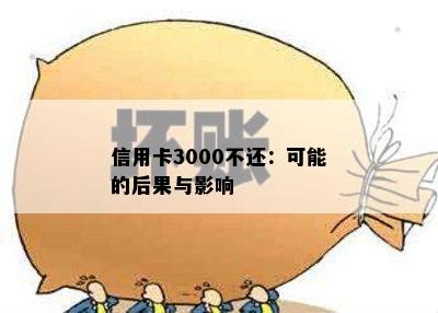 信用卡3000不还：可能的后果与影响