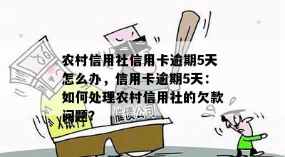 农村信用社信用卡逾期5天怎么办，信用卡逾期5天：如何处理农村信用社的欠款问题？