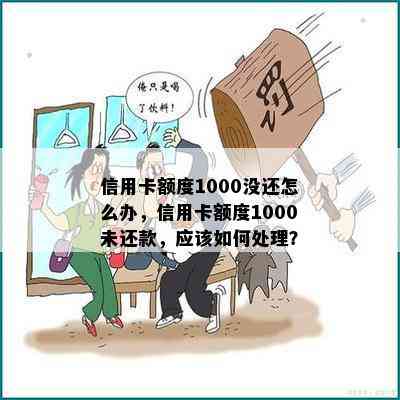 信用卡额度1000没还怎么办，信用卡额度1000未还款，应该如何处理？