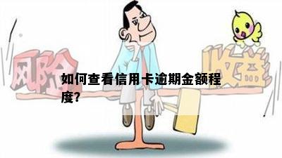 如何查看信用卡逾期金额程度？