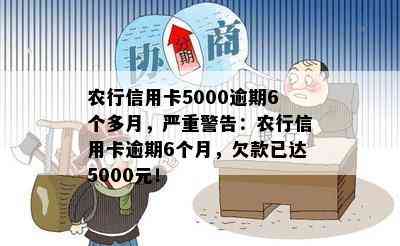 农行信用卡5000逾期6个多月，严重警告：农行信用卡逾期6个月，欠款已达5000元！