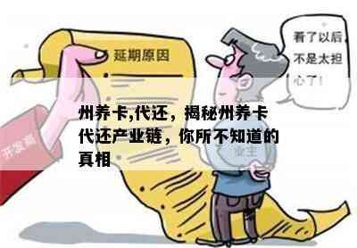 州养卡,代还，揭秘州养卡代还产业链，你所不知道的真相