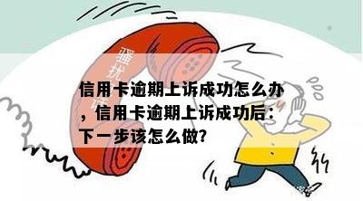 信用卡逾期上诉成功怎么办，信用卡逾期上诉成功后：下一步该怎么做？