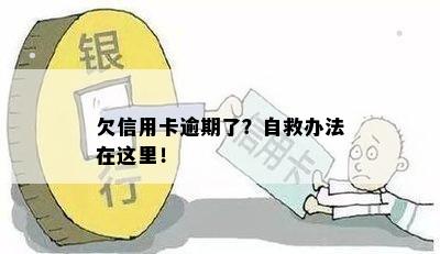 欠信用卡逾期了？自救办法在这里！