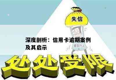 深度剖析：信用卡逾期案例及其启示