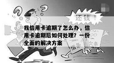 我信用卡逾期了怎么办，信用卡逾期后如何处理？一份全面的解决方案