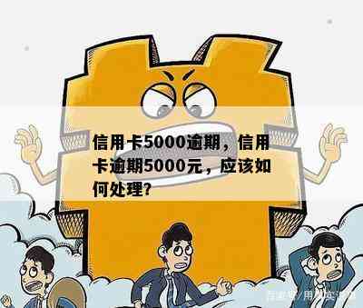 信用卡5000逾期，信用卡逾期5000元，应该如何处理？