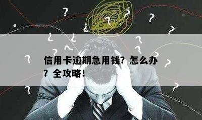 信用卡逾期急用钱？怎么办？全攻略！