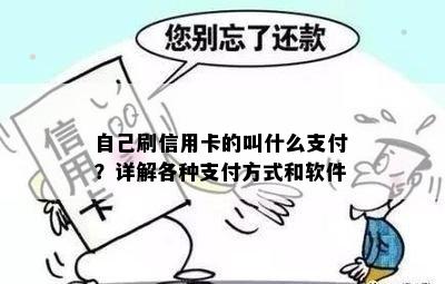 自己刷信用卡的叫什么支付？详解各种支付方式和软件