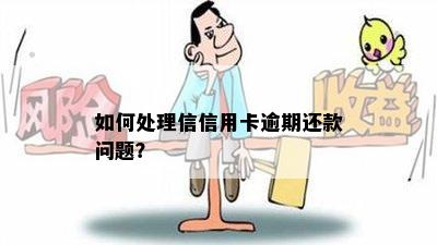 如何处理信信用卡逾期还款问题？