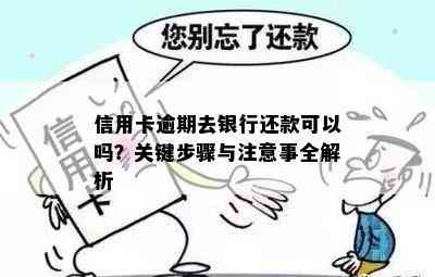 信用卡逾期去银行还款可以吗？关键步骤与注意事全解析