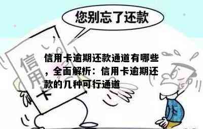 信用卡逾期还款通道有哪些，全面解析：信用卡逾期还款的几种可行通道