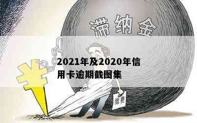 2021年及2020年信用卡逾期截图集