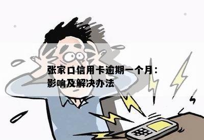 张家口信用卡逾期一个月：影响及解决办法