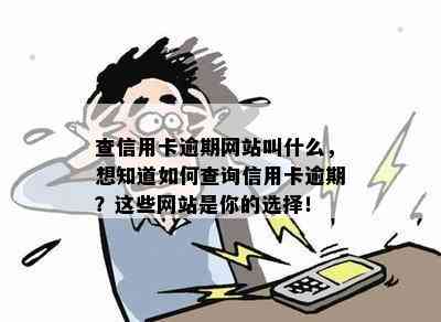 查信用卡逾期网站叫什么，想知道如何查询信用卡逾期？这些网站是你的选择！