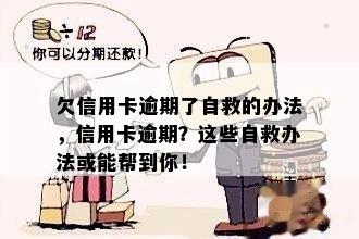 欠信用卡逾期了自救的办法，信用卡逾期？这些自救办法或能帮到你！