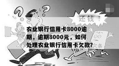 农业银行信用卡8000逾期，逾期8000元，如何处理农业银行信用卡欠款？