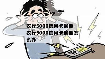 农行5000信用卡逾期-农行5000信用卡逾期怎么办