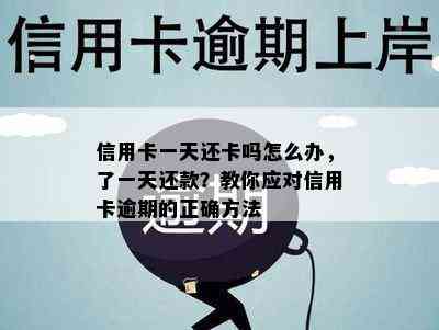 信用卡一天还卡吗怎么办，了一天还款？教你应对信用卡逾期的正确方法