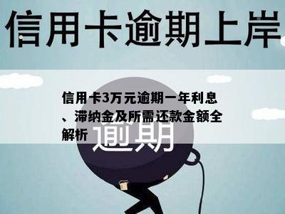 信用卡3万元逾期一年利息、滞纳金及所需还款金额全解析