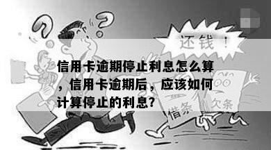 信用卡逾期停止利息怎么算，信用卡逾期后，应该如何计算停止的利息？