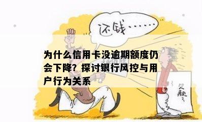 为什么信用卡没逾期额度仍会下降？探讨银行风控与用户行为关系