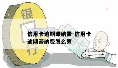 信用卡逾期滞纳费-信用卡逾期滞纳费怎么算