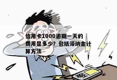 信用卡1000逾期一天的费用是多少？包括滞纳金计算方法