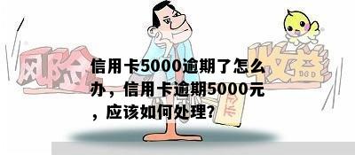 信用卡5000逾期了怎么办，信用卡逾期5000元，应该如何处理？