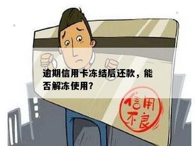 逾期信用卡冻结后还款，能否解冻使用？