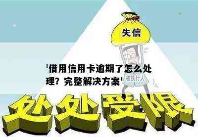 '借用信用卡逾期了怎么处理？完整解决方案'