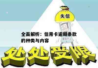 全面解析：信用卡逾期条款的种类与内容