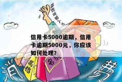 信用卡5000逾期，信用卡逾期5000元，你应该如何处理？