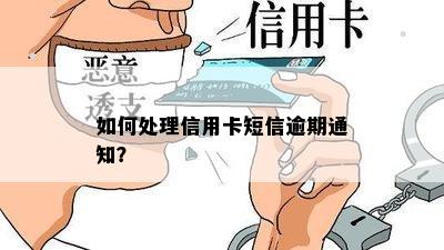 如何处理信用卡短信逾期通知？