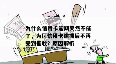 为什么信用卡逾期突然不催了，为何信用卡逾期后不再受到？原因解析