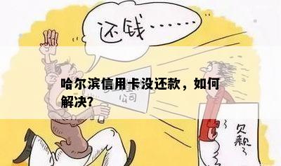 哈尔滨信用卡没还款，如何解决？