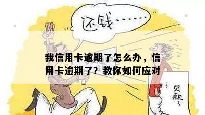 我信用卡逾期了怎么办，信用卡逾期了？教你如何应对