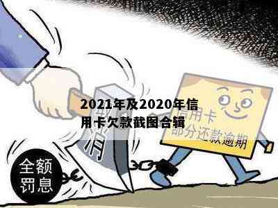 2021年及2020年信用卡欠款截图合辑