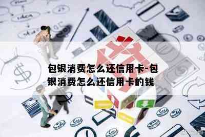 包银消费怎么还信用卡-包银消费怎么还信用卡的钱