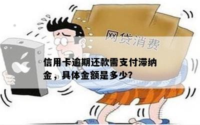 信用卡逾期还款需支付滞纳金，具体金额是多少？