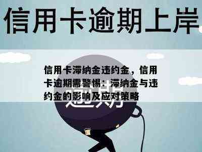 信用卡滞纳金违约金，信用卡逾期需警惕：滞纳金与违约金的影响及应对策略