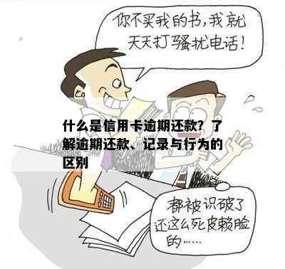 什么是信用卡逾期还款？了解逾期还款、记录与行为的区别