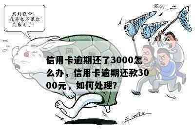 信用卡逾期还了3000怎么办，信用卡逾期还款3000元，如何处理？