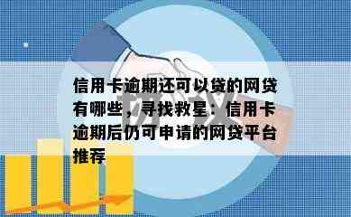 信用卡逾期还可以贷的网贷有哪些，寻找救星：信用卡逾期后仍可申请的网贷平台推荐