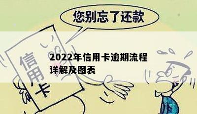 2022年信用卡逾期流程详解及图表