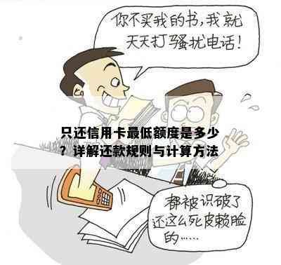 只还信用卡更低额度是多少？详解还款规则与计算方法