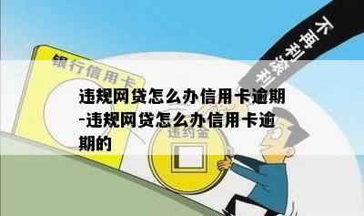 违规网贷怎么办信用卡逾期-违规网贷怎么办信用卡逾期的