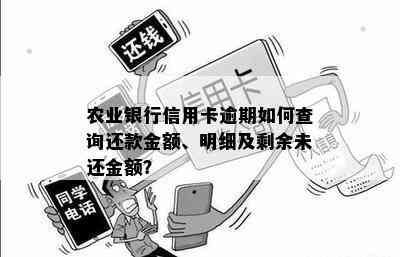 农业银行信用卡逾期如何查询还款金额、明细及剩余未还金额？