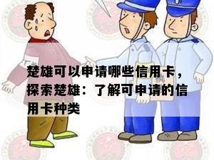 楚雄可以申请哪些信用卡，探索楚雄：了解可申请的信用卡种类