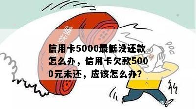 信用卡5000更低没还款怎么办，信用卡欠款5000元未还，应该怎么办？